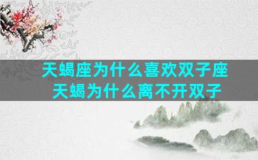 天蝎座为什么喜欢双子座 天蝎为什么离不开双子
